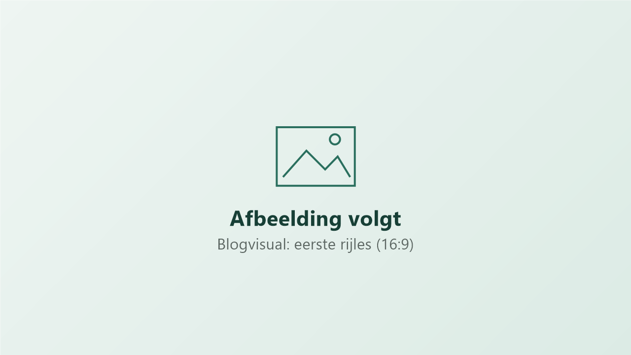 Blogvisual: eerste rijles